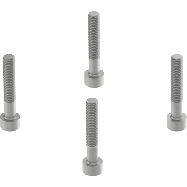 EAHM-L5-M8-60 Screw kit