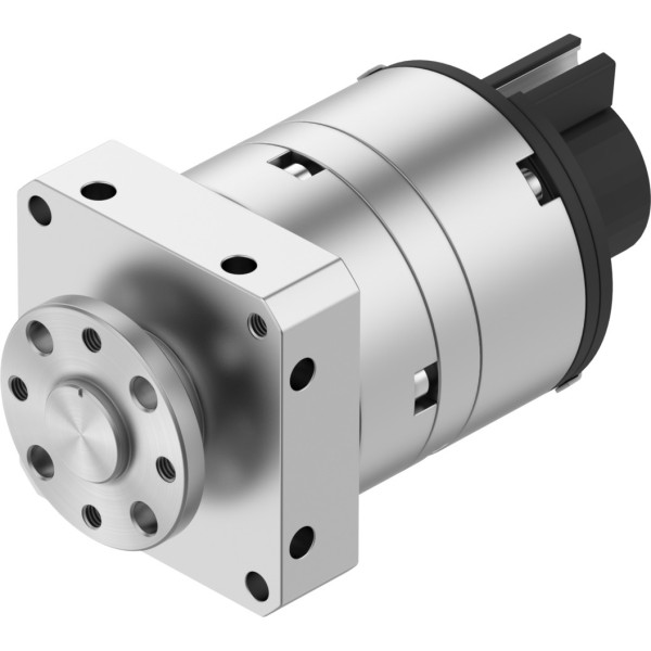 DSM-10-240-P-A-FF-FW Semi-rotary drive