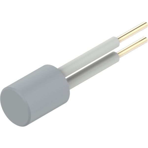 CPX-W-PT1000 Resistor