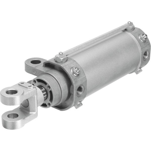 DW-80-150-Y-A-G Hinge cylinder