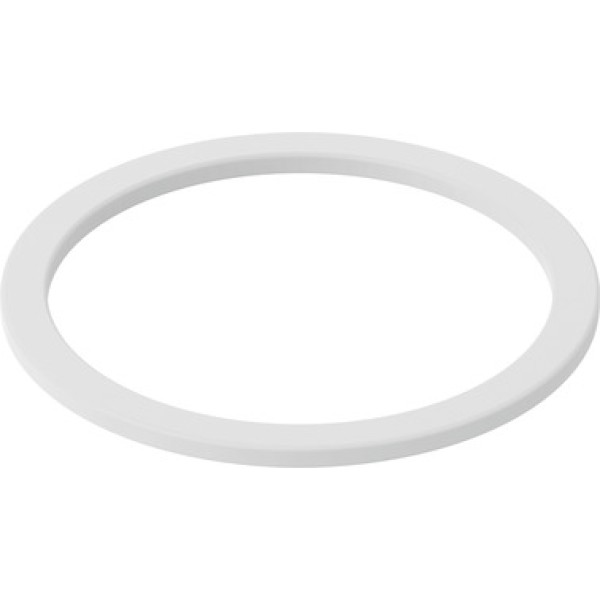 NPAS-C1-R-G38-P-FD-P10 Dichtring