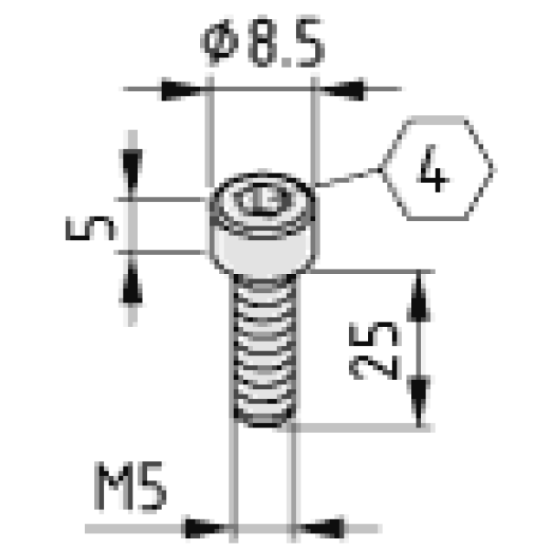 Zylinderschraube DIN 912 M5x25, verzinkt