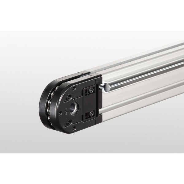 Chain Reverse Unit 8 80 with Bore D15